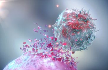 3D Rendering of Natural Killer NK Cell Destroying Cancer Cell